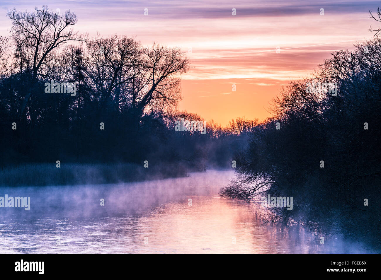 A misty winter sunrise over the River Kennet in Wiltshire. Stock Photo