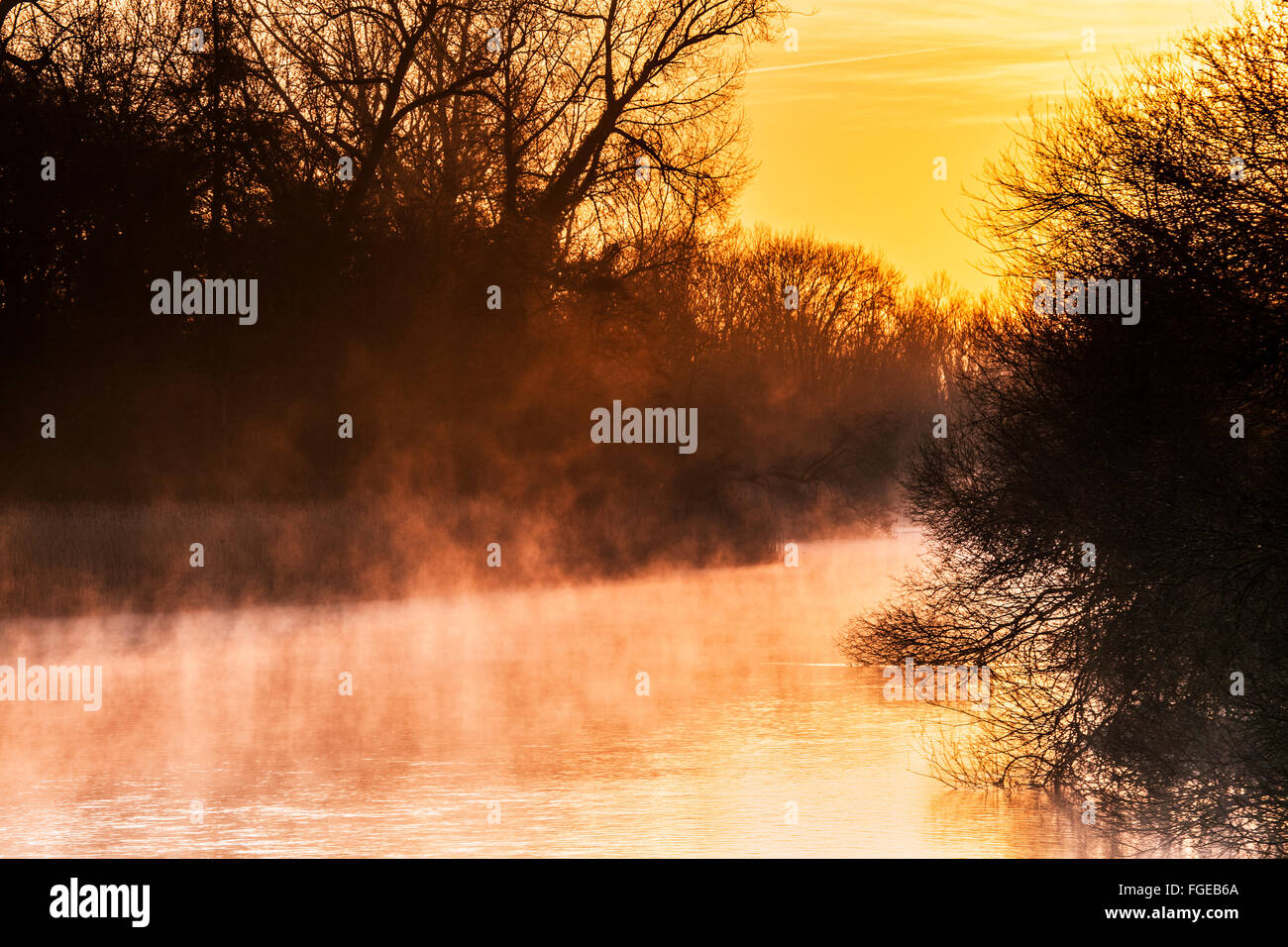 A misty winter sunrise over the River Kennet in Wiltshire. Stock Photo