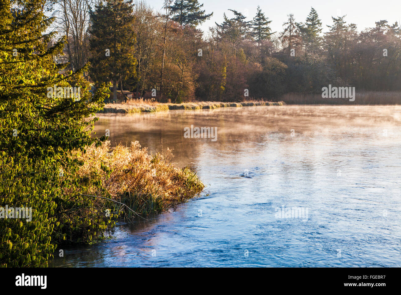 A misty winter sunrise over the River Kennet in Wiltshire. Stock Photo