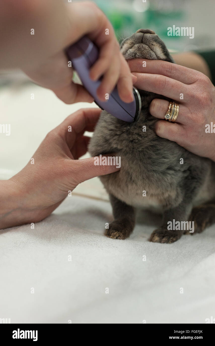 Opthalmoscope hires stock photography and images Alamy