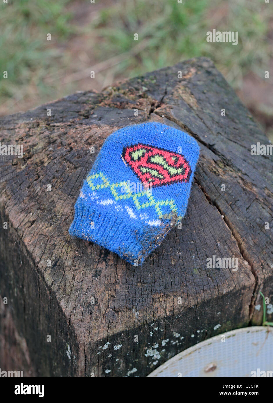 A child's lost glove sitting on a wooden post in Bushy Park, near Kingston, UK. Stock Photo