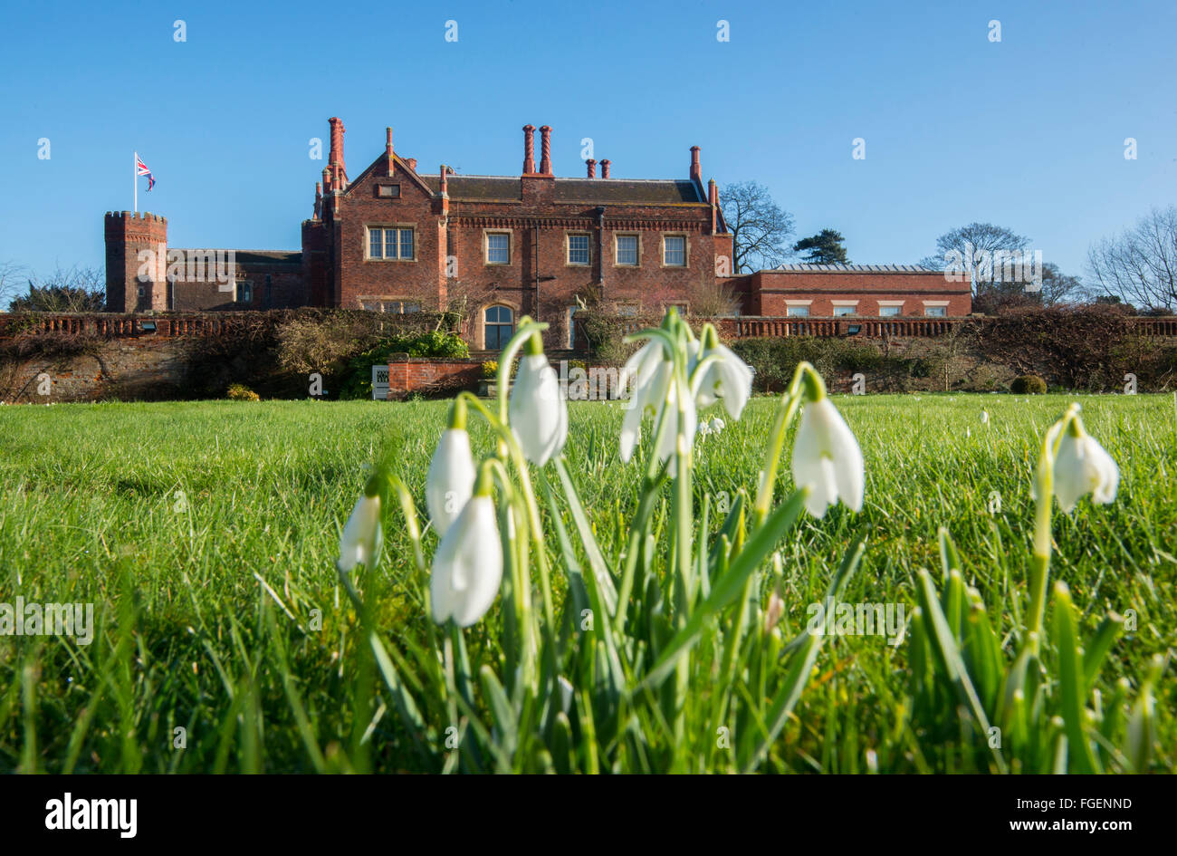 Snowdrops At Hodsock Priory Blyth Worksop Nottinghamshire England UK snowdrops-at-hodsock-priory-blyth-worksop-nottinghamshire-england-uk