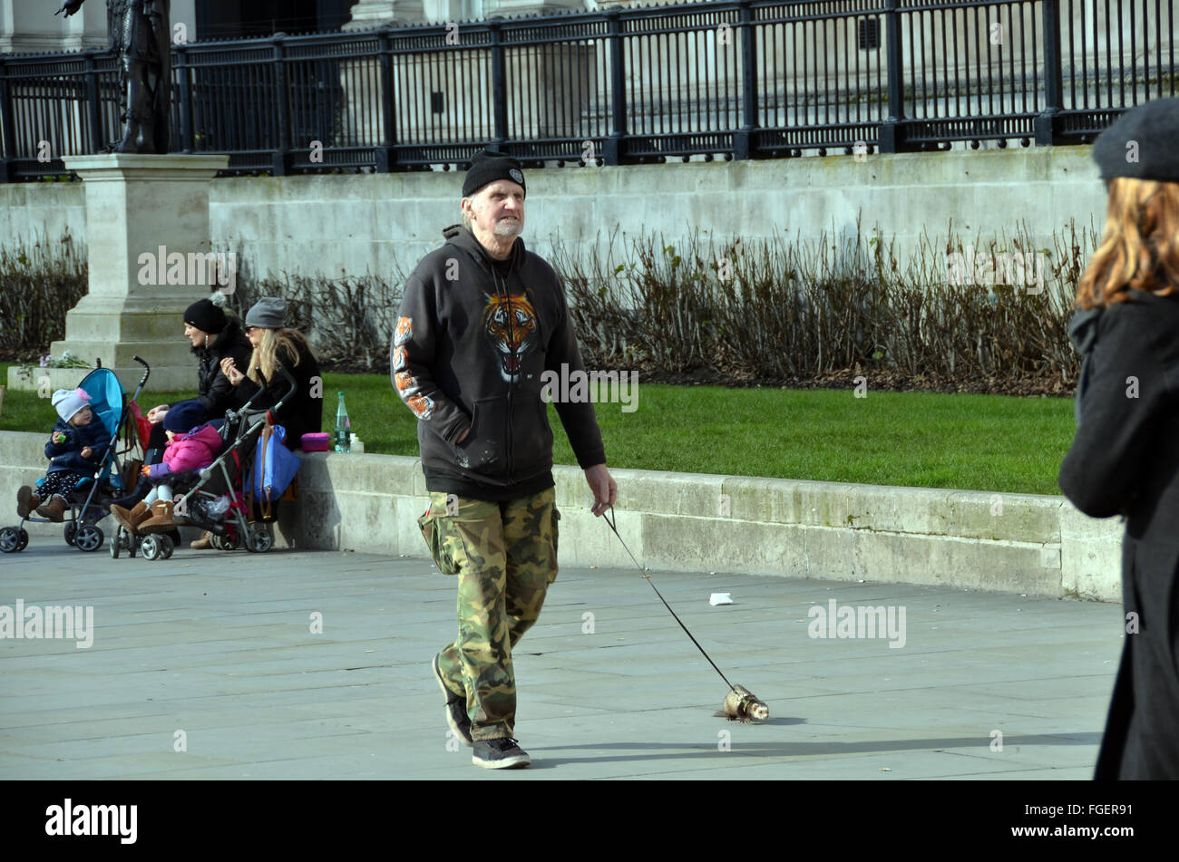 London, UK, 18 February 2016, a man walks a pet ferret on a lead in front of the National Gallery in Trafalgar Square. Stock Photo