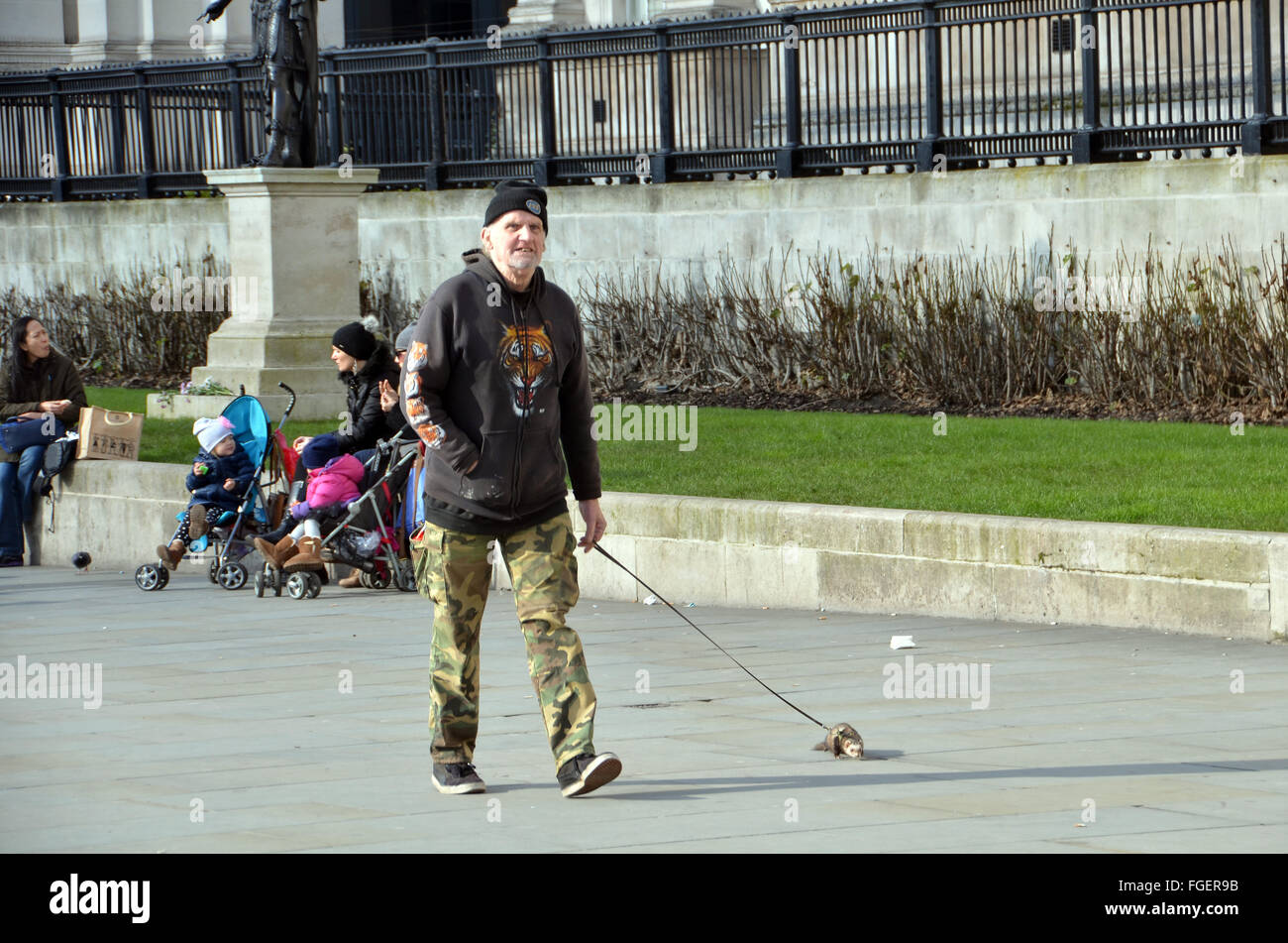 London, UK, 18 February 2016, a man walks a pet ferret on a lead in front of the National Gallery in Trafalgar Square. Stock Photo
