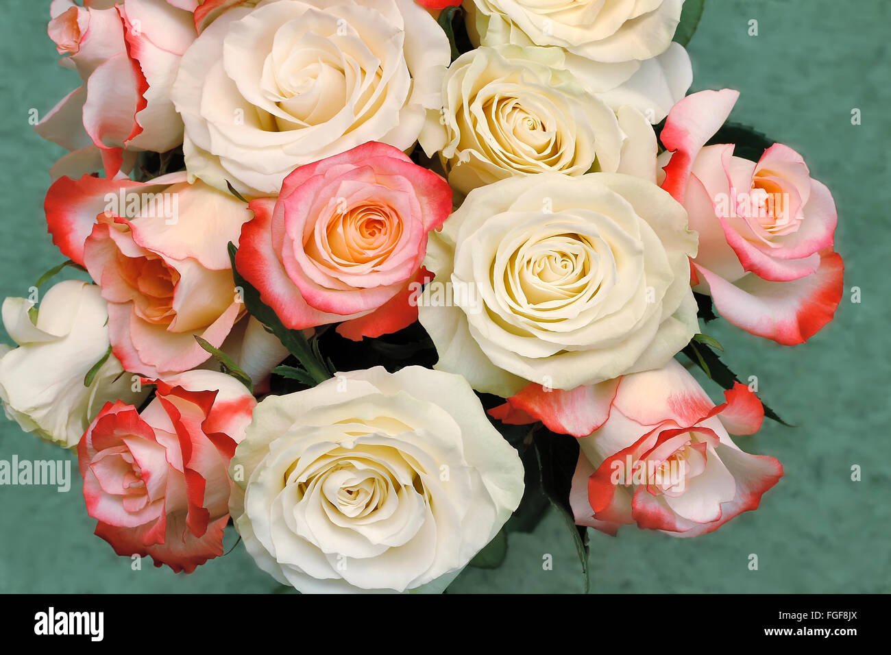 A bouquet of beautiful white and light pink roses on light green ...