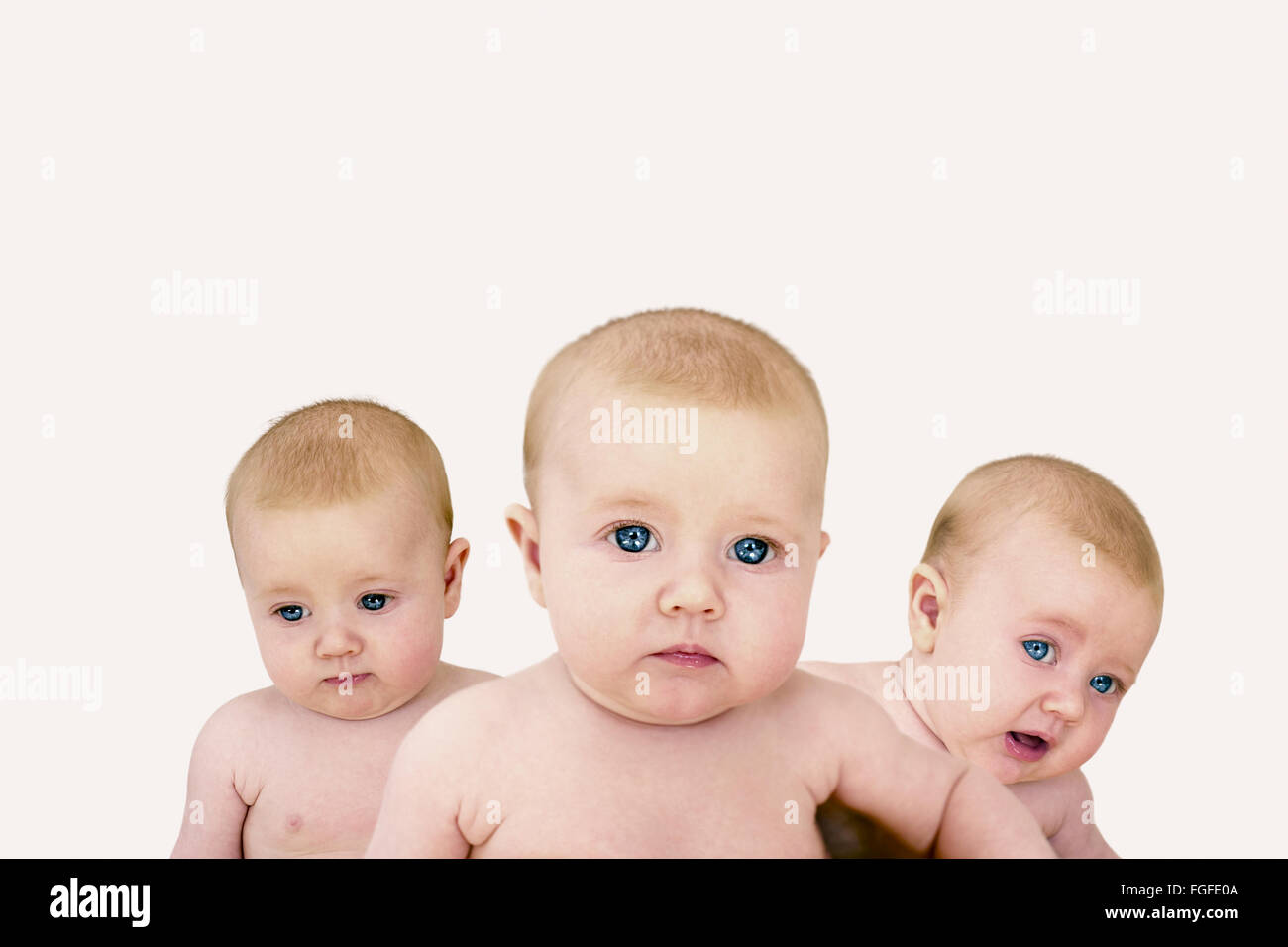 Portrait of three baby girls against a white background Stock Photo