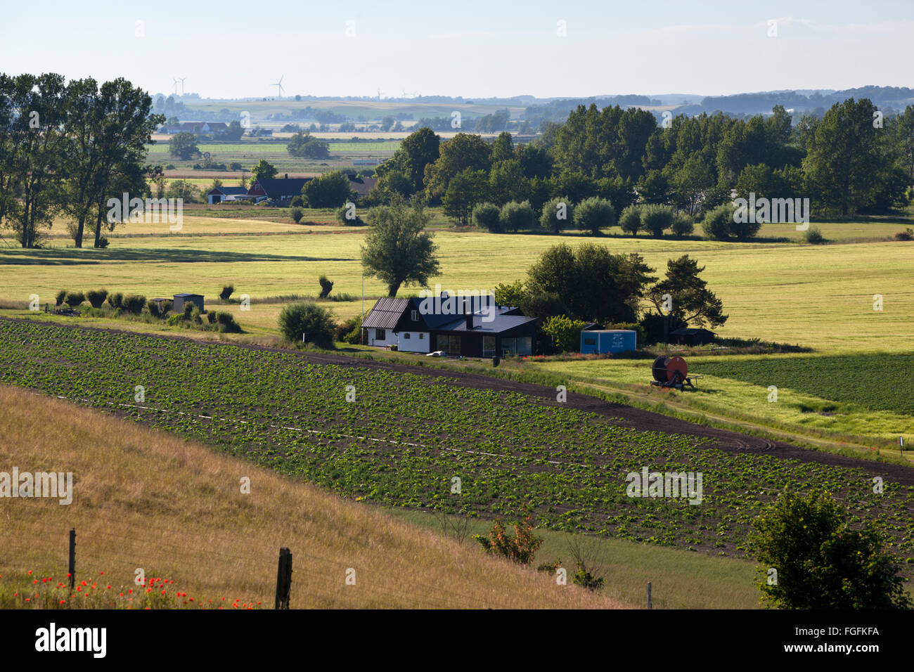 Swedish farmhouse and farmland, near Loderup, Skane, South Sweden