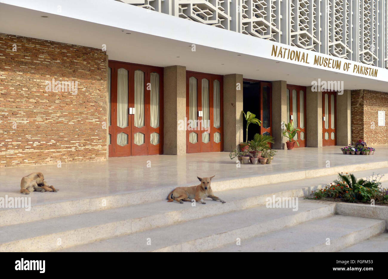 Street dogs entered into National Museum premises and sitting on stairs may harmful for visitors showing negligence of watchmen, in Karachi on Friday, February 19, 2016. Stock Photo