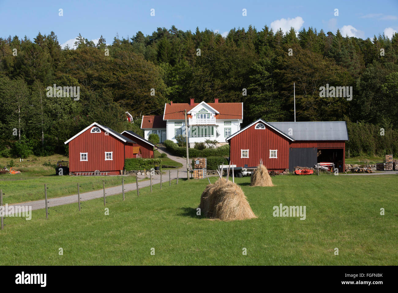 Typical Swedish farm, near Kode, Bohuslän, southwest Sweden, Sweden, Scandinavia, Europe Stock Photo