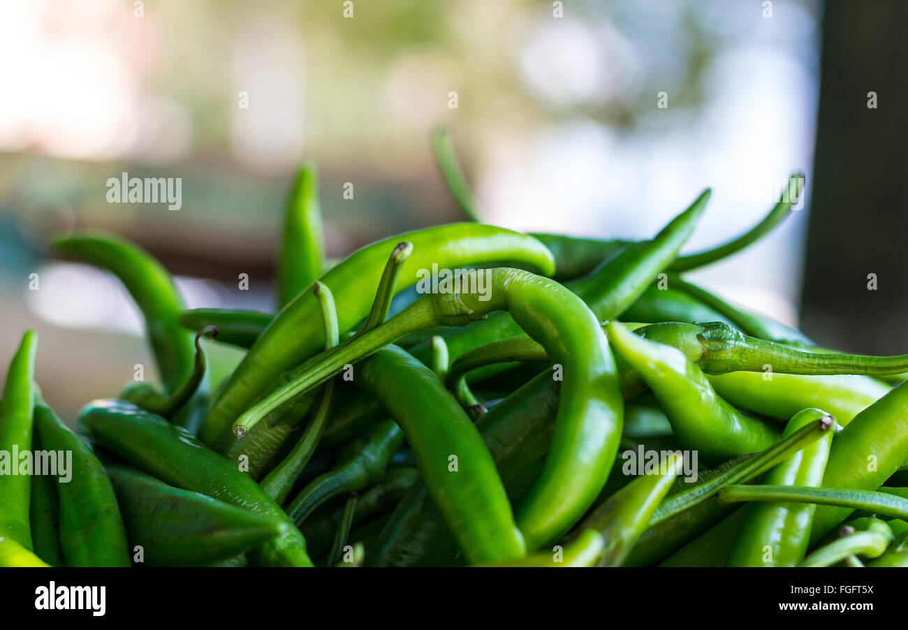 Green Peppers at the Market Stock Photo - Alamy