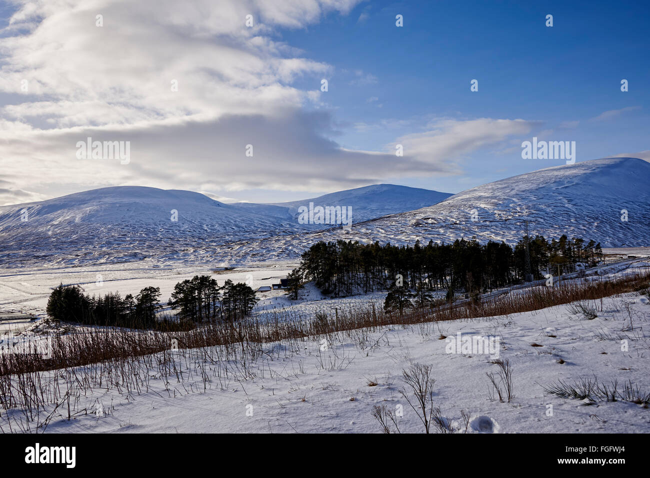a9-through-the-cairngorms-showing-the-recent-snowfall-feb-2026-the
