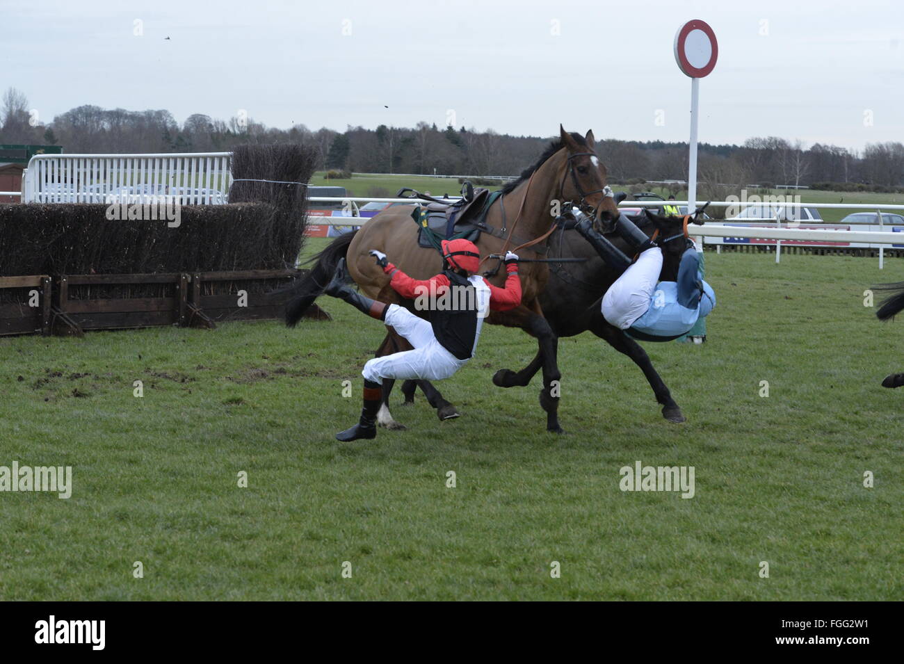 Fakenham, UK. 19th February, 2016.   Victoria Pendleton falls from her horse Pacha Du Polder after clashing with Baltic Blue ridden by Carey Williamson during the 4.15 race at Fakenham. Credit:  Trevor Meeks/Alamy Live News Stock Photo