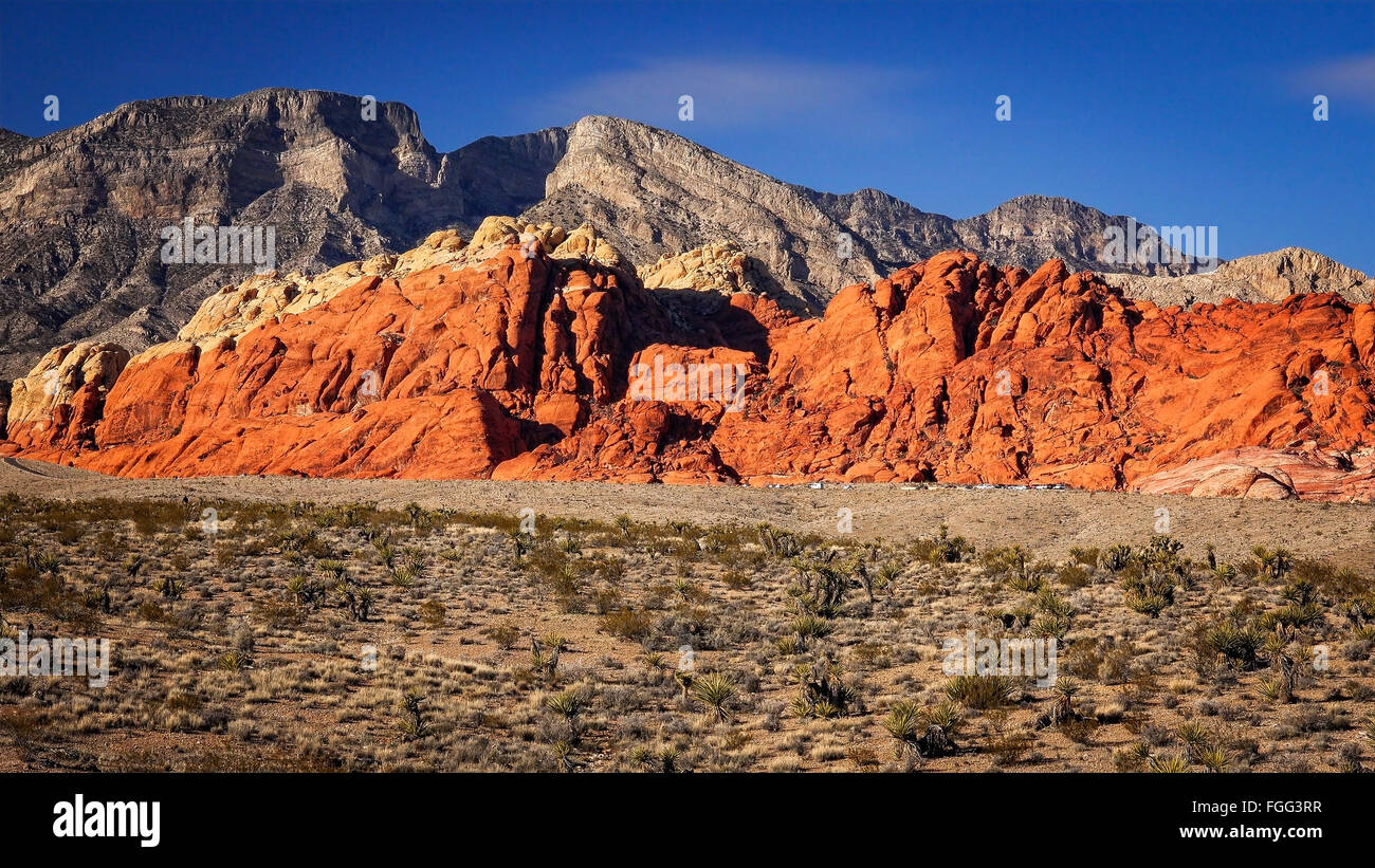 The Red Rock Canyon National Conservation Area near Las Vegas, Nevada Stock Photo