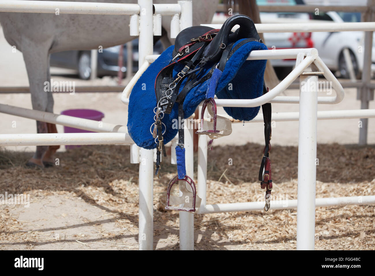 Endurance saddle and tack resting on a stand in the stabling area ...