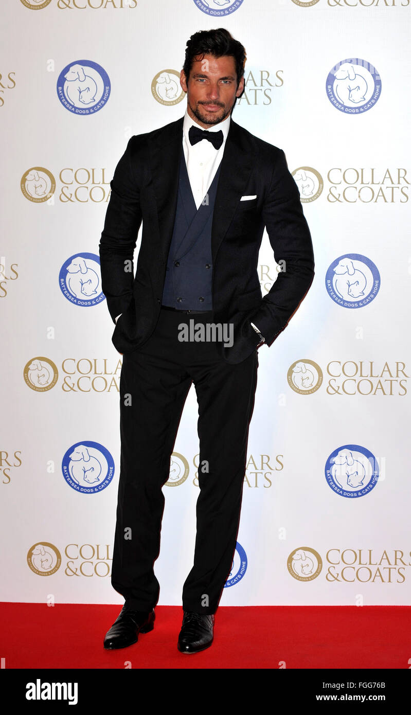 London England David Gandy at the annual Collars and Coats Gala Ball in ...