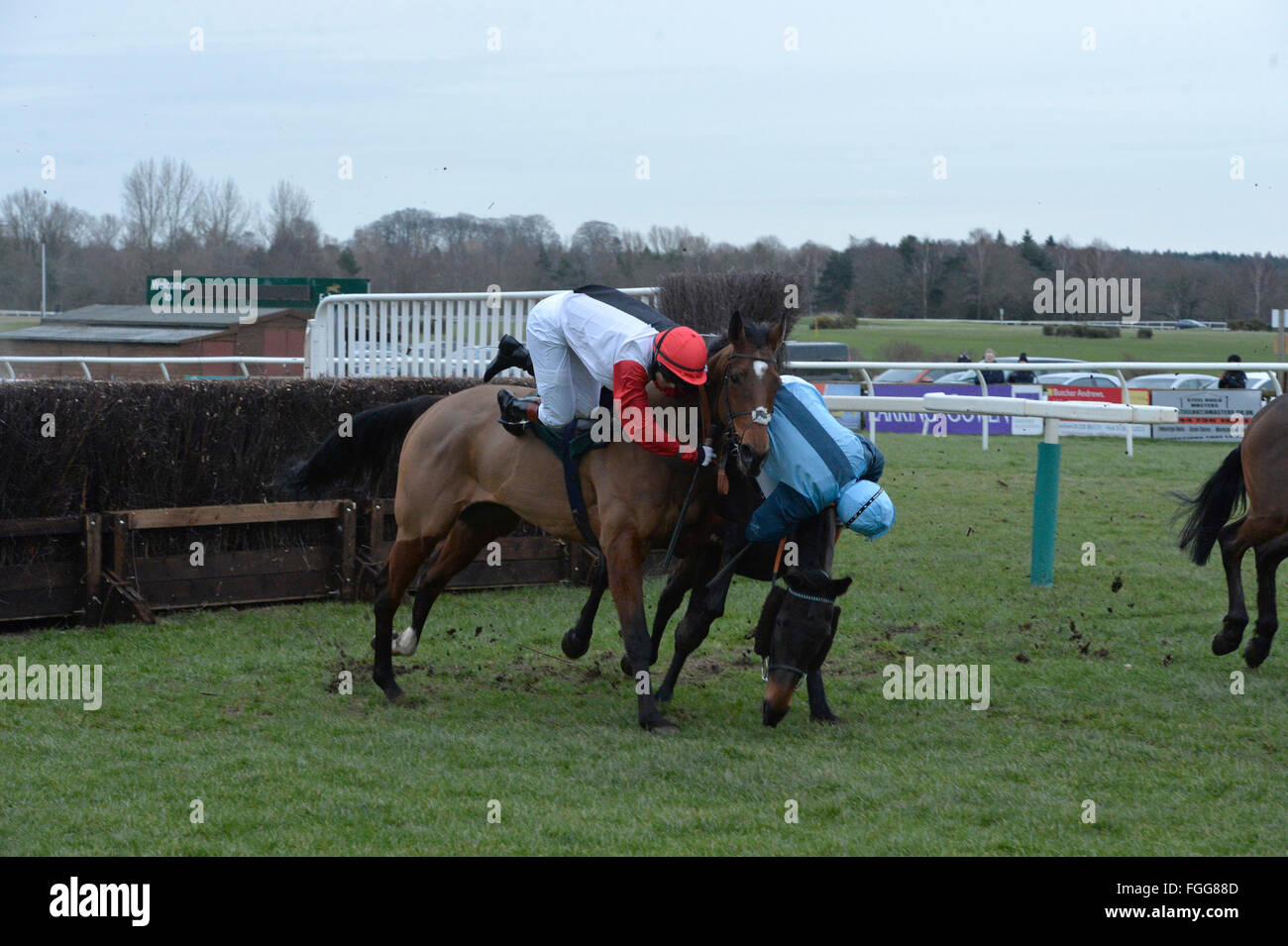 Fakenham Races 19.02.16  Victoria Pendleton falls from her horse Pacha Du Polder after clashing with Baltic Blue ridden by Carey Williamson during the 4.15 race at Fakenham. Stock Photo