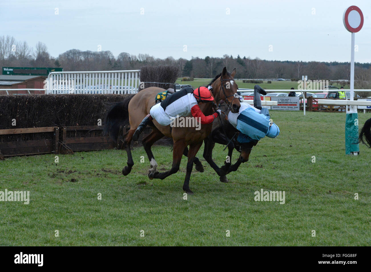 Fakenham Races 19.02.16  Victoria Pendleton falls from her horse Pacha Du Polder after clashing with Baltic Blue ridden by Carey Williamson during the 4.15 race at Fakenham. Stock Photo