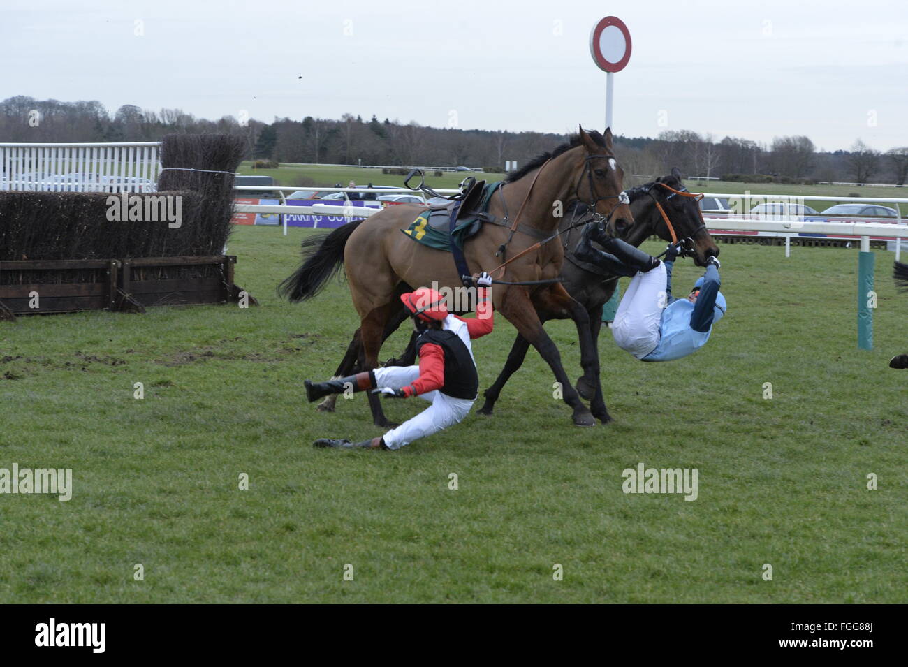 Fakenham Races 19.02.16  Victoria Pendleton falls from her horse Pacha Du Polder after clashing with Baltic Blue ridden by Carey Williamson during the 4.15 race at Fakenham. Stock Photo