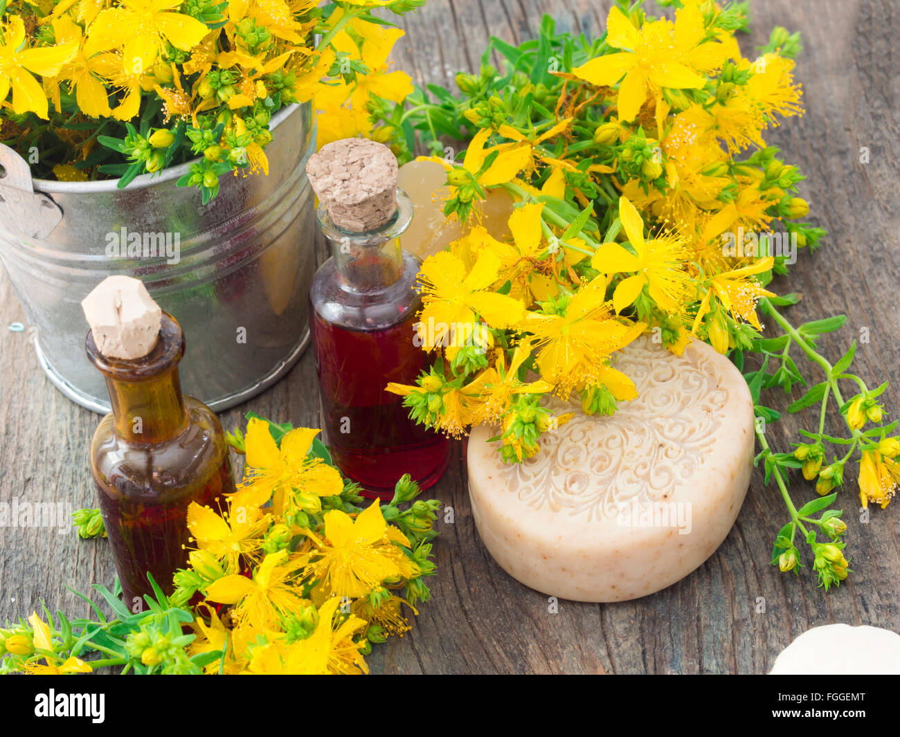 St John's wort, healthy herb Stock Photo Alamy