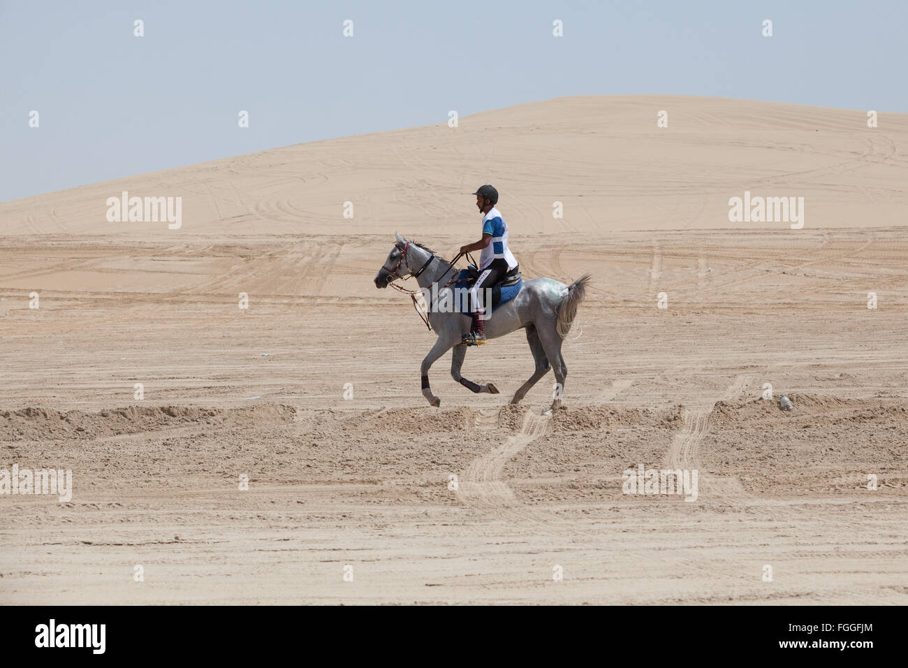 Horse and rider in the extreme heat in the desert during endurance race for CHI Al Shaqab 2014