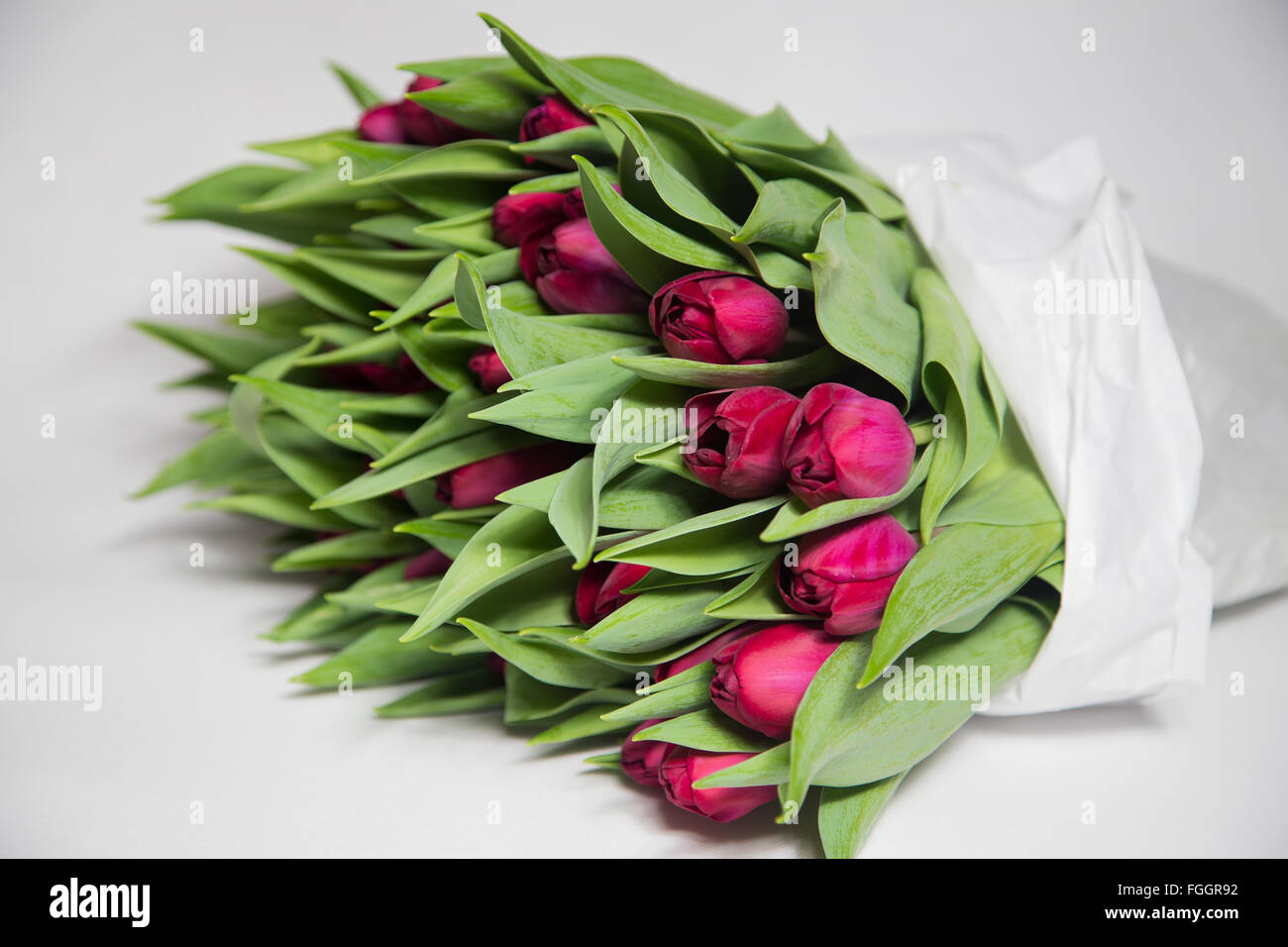 Bouquet of pink tulips isolated on white background Stock Photo - Alamy