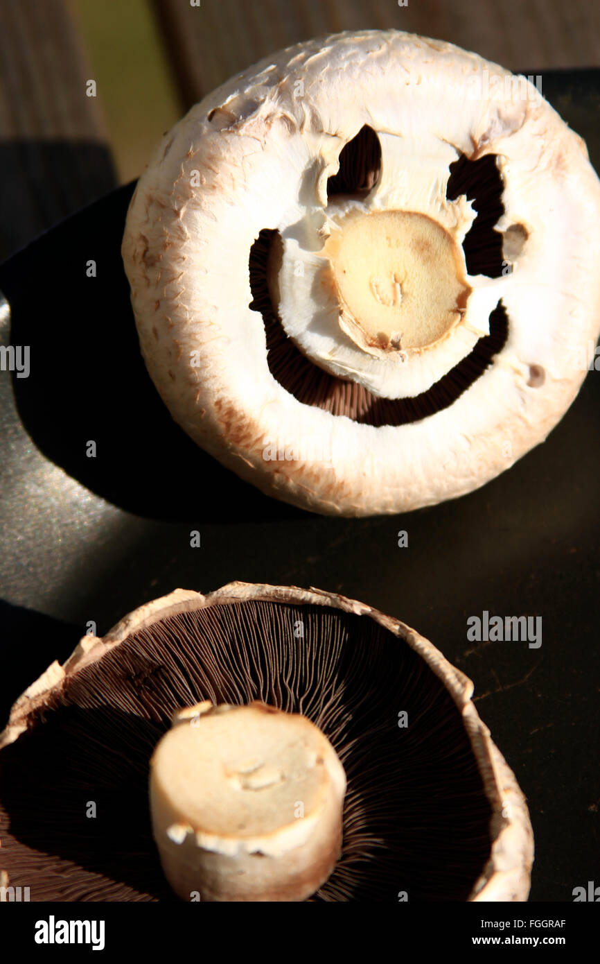 two mushrooms one with a happy face Stock Photo