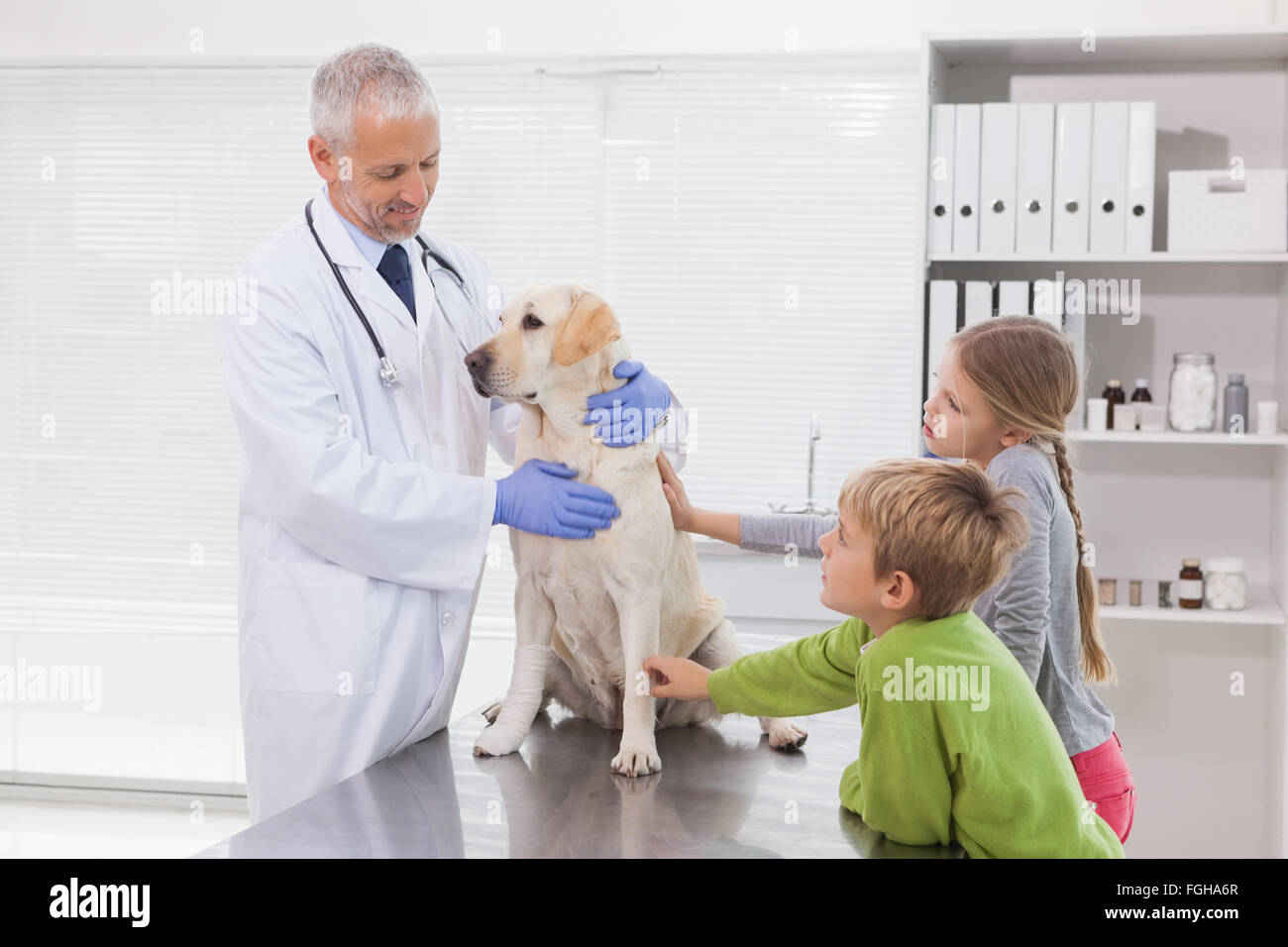 Vet examining a dog with its owners Stock Photo - Alamy