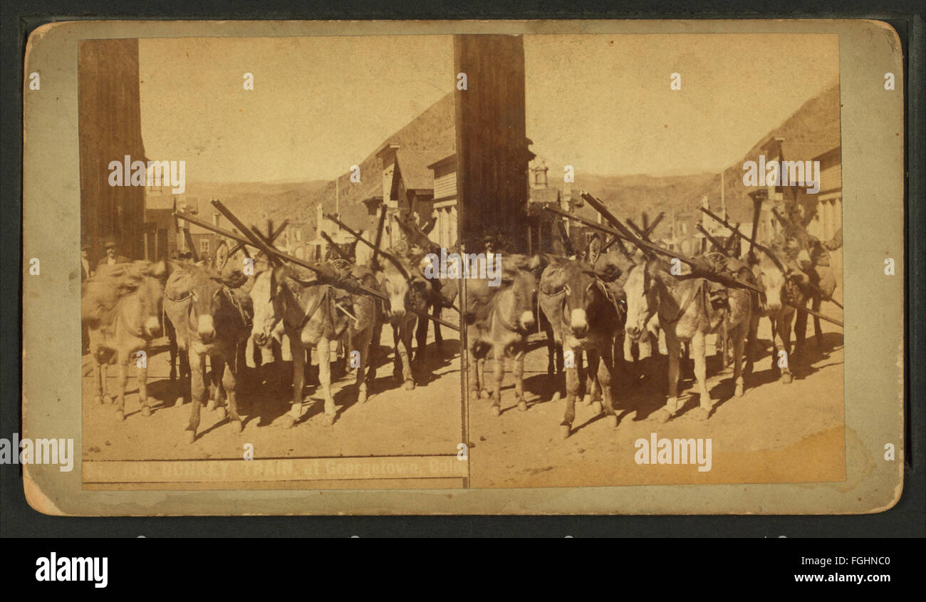 Donkey pack train hi-res stock photography and images - Alamy