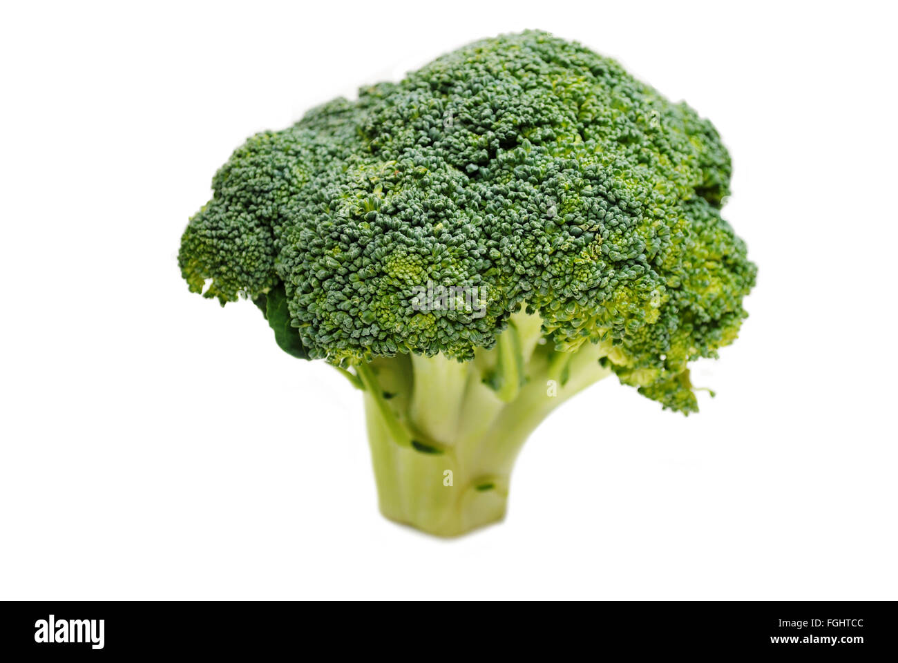 Healthy Organic Broccoli Head Isolated on White Stock Photo Alamy