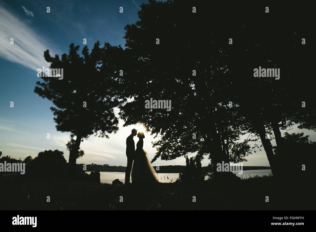 bride groom standing in the park Stock Photo - Alamy