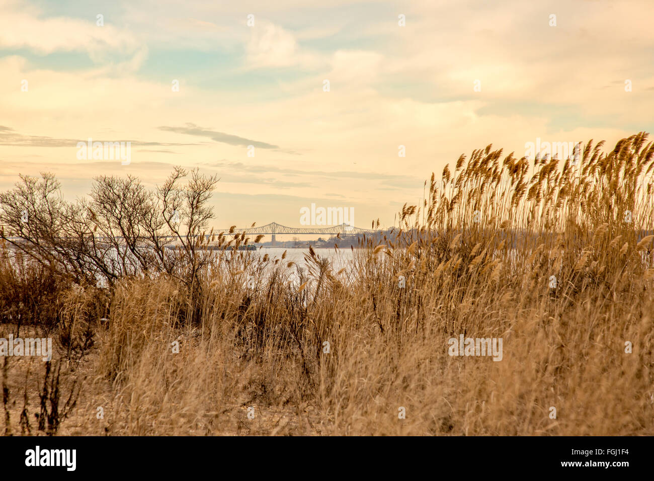 Outerbridge Crossing through the reeds from South Amboy Beach in New Jersey. Stock Photo