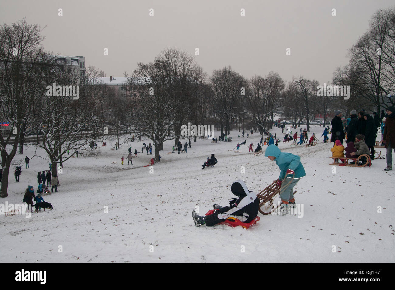 sledding Berlin Germany Stock Photo Alamy