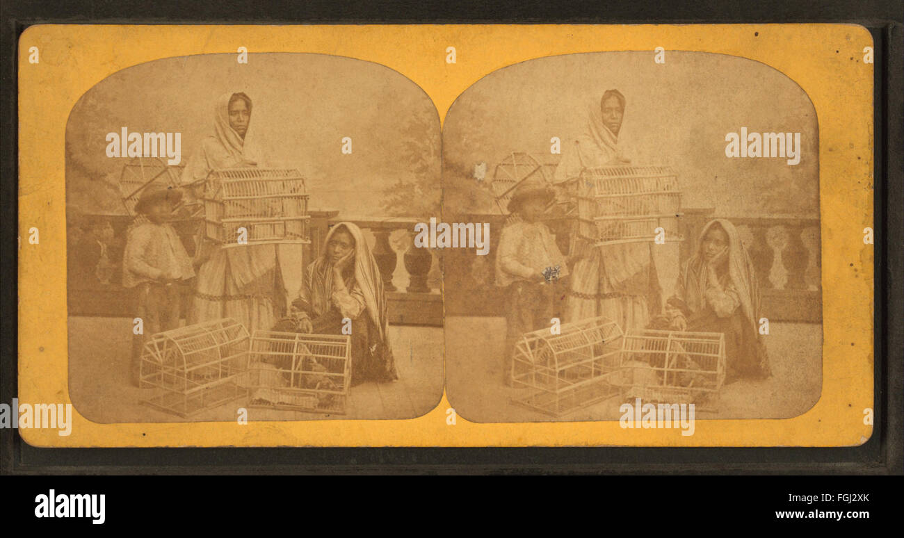Stéréoscope Mexicain Ancien - Pour Pièces Ou Réparation - Verre Dépoli Cassé