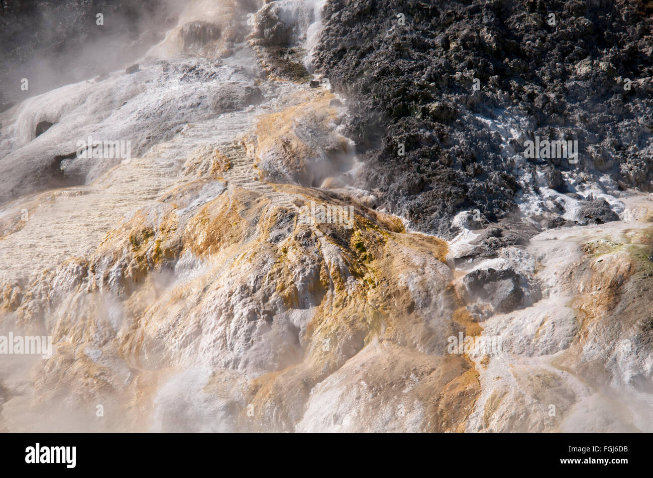 Artist's Palette in Orakei Korako has cream-white sinter formed from silica and orange colored sinter from antimony compounds. Stock Photo