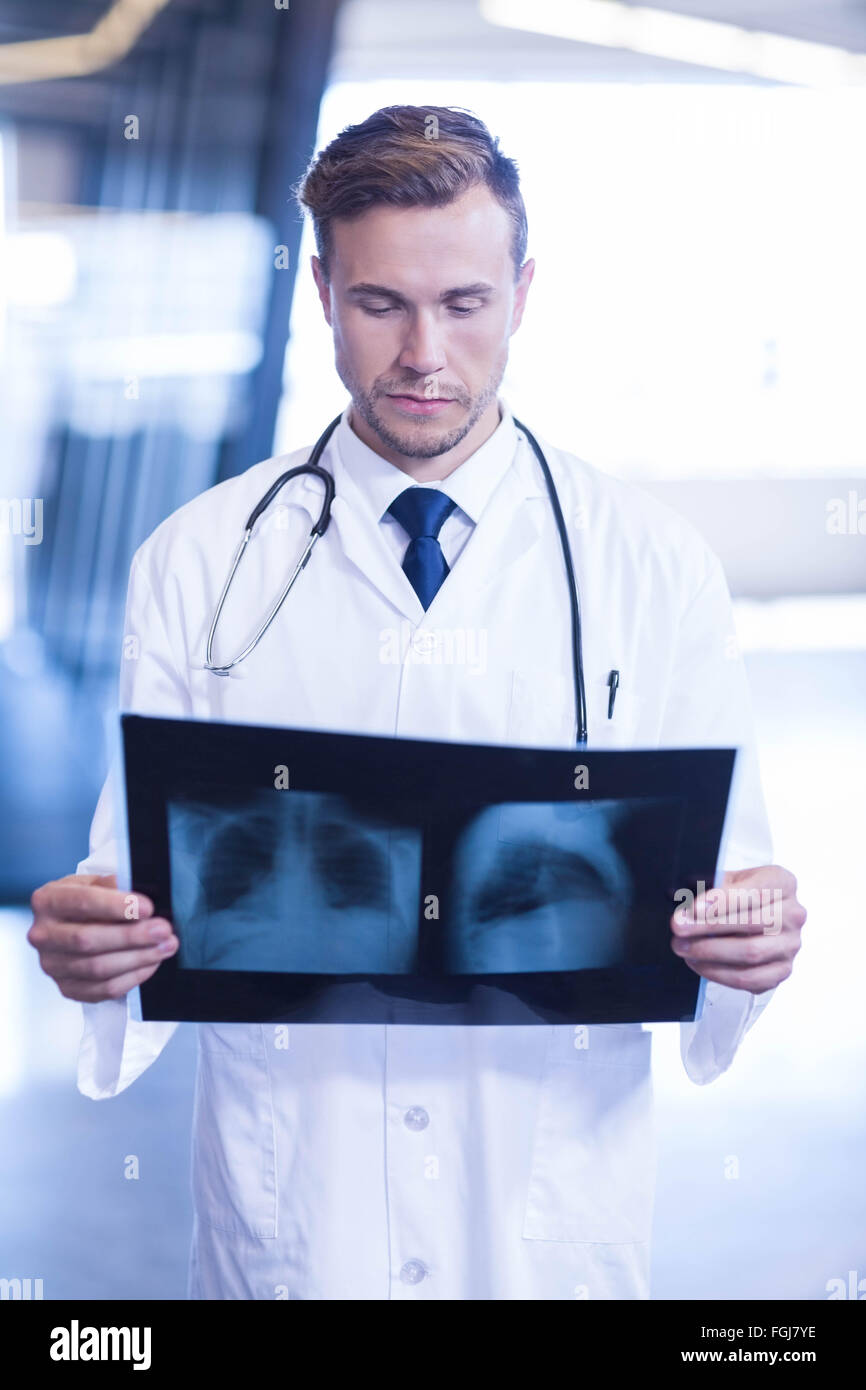 Doctor examining an xray in hospital Stock Photo Alamy