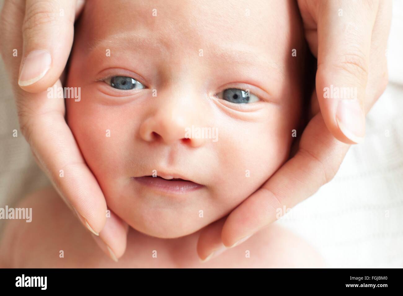 MODEL RELEASED. Person with hands touching newborn baby's face. Stock Photo