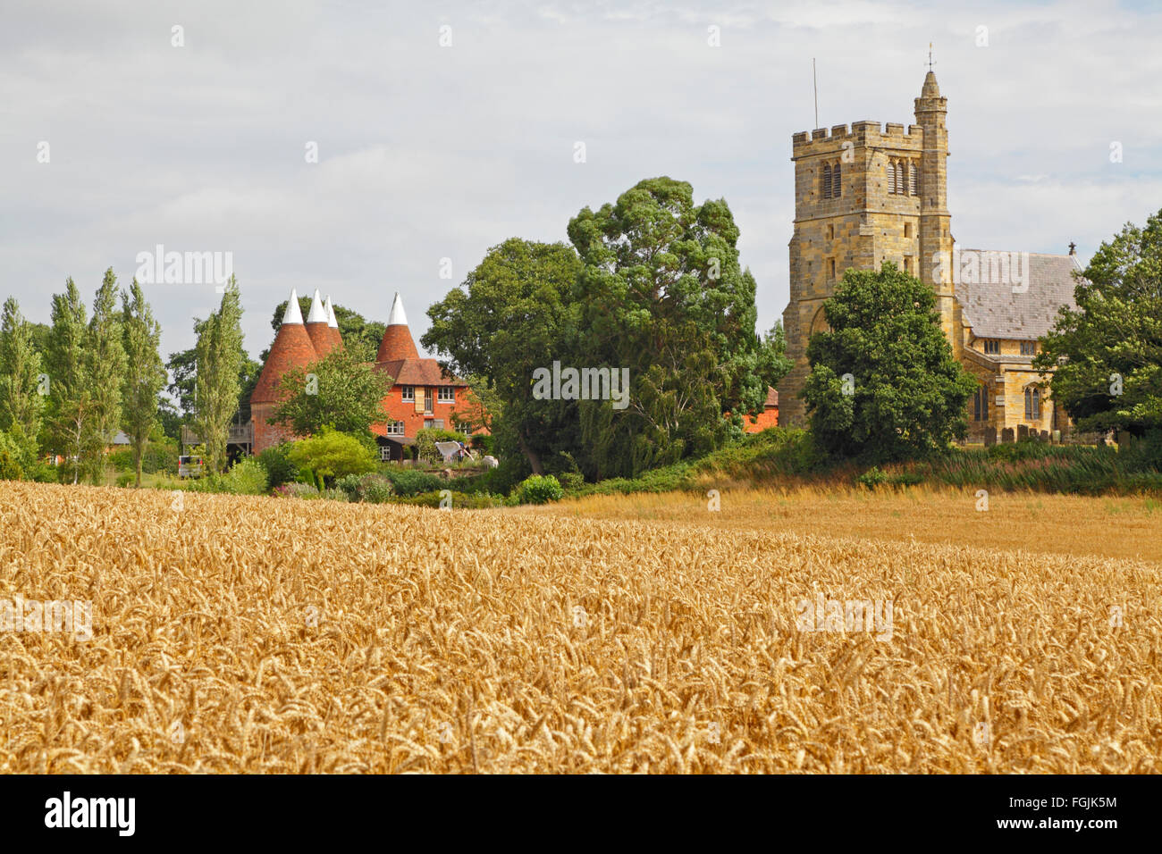 Harvest Time at Horsmonden, Kent, UK, with St Margaret's Church and Oast Houses, England, UK, GB Stock Photo