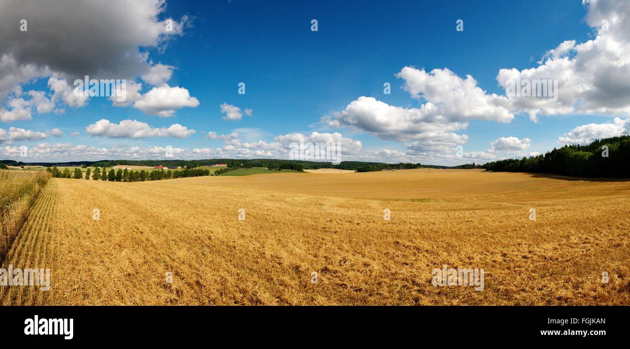 The field in the Finnish countryside Stock Photo