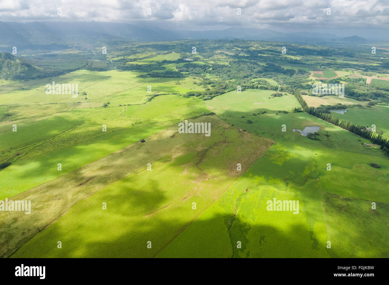 Aerial of the agricultural fields east of Lihue, Kauai Stock Photo Alamy