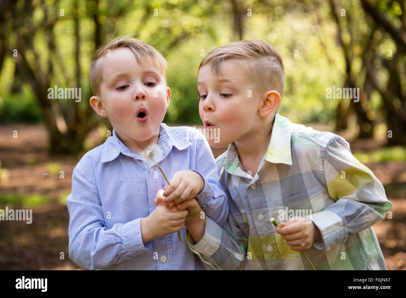 Two brothers together outdoors in a lifestyle portrait with natural ...