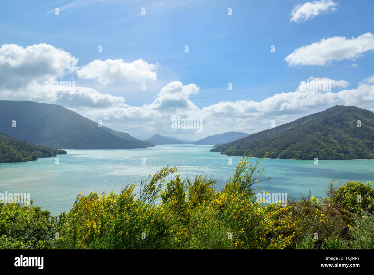 Queen Charlotte Sound, New Zealand Stock Photo Alamy