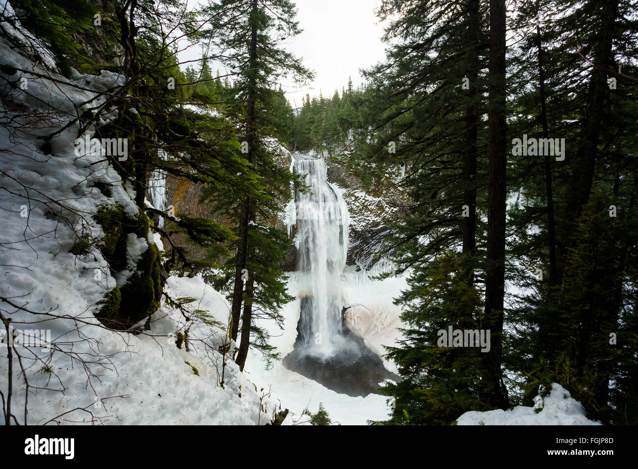 Salt Creek Falls on Willamette Pass in Oregon near Eugene during the ...