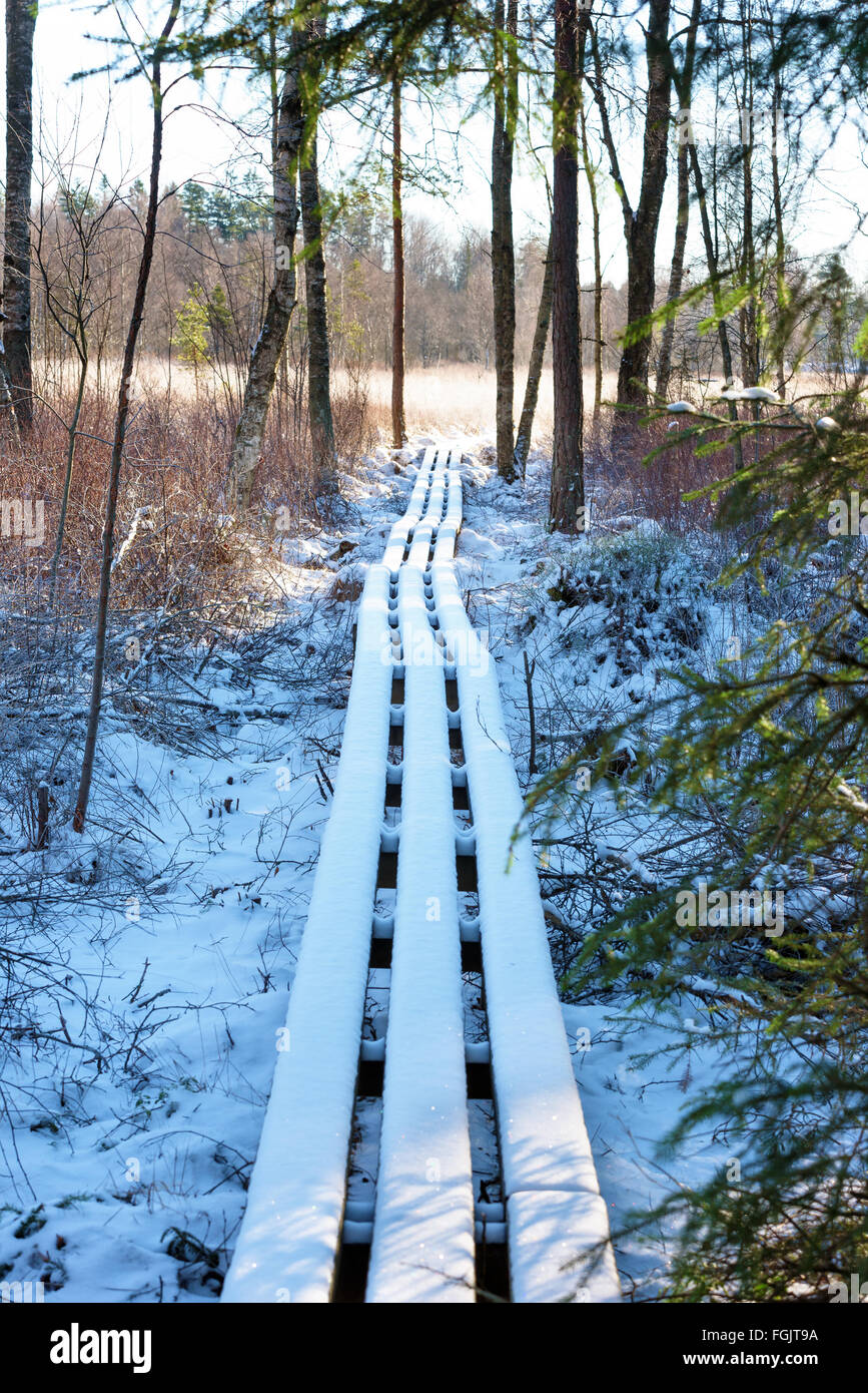 A wooden walkway lead out of the forest in winter. The fine snow cover ...