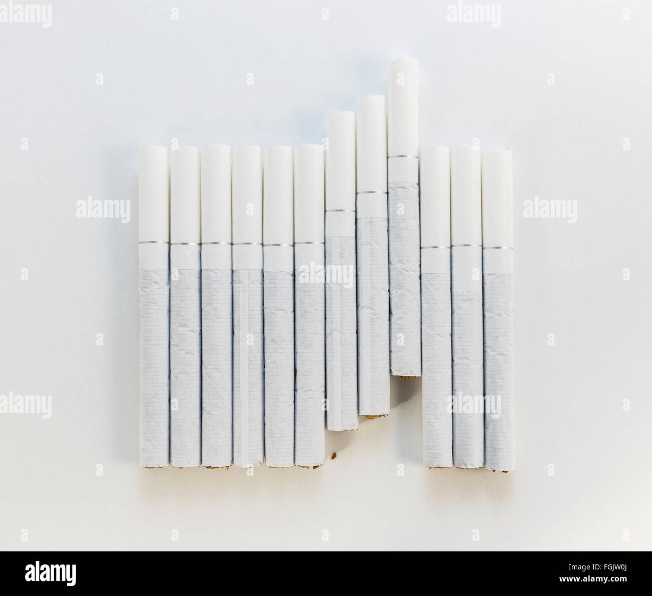 Cigarette with a white filter laid out in a row on a white background