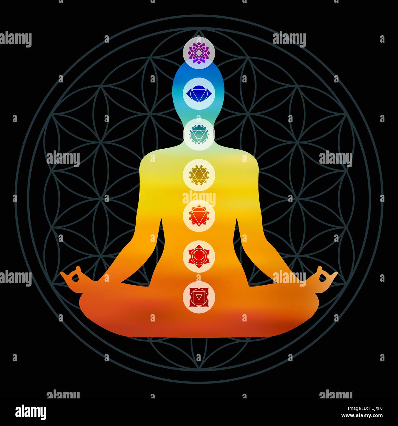 Asanas for activating the seven chakras. Infographic vector banner with  different yogi poses for a healthy body and energy. Women demonstrating yoga  asanas 13755005 Vector Art at Vecteezy