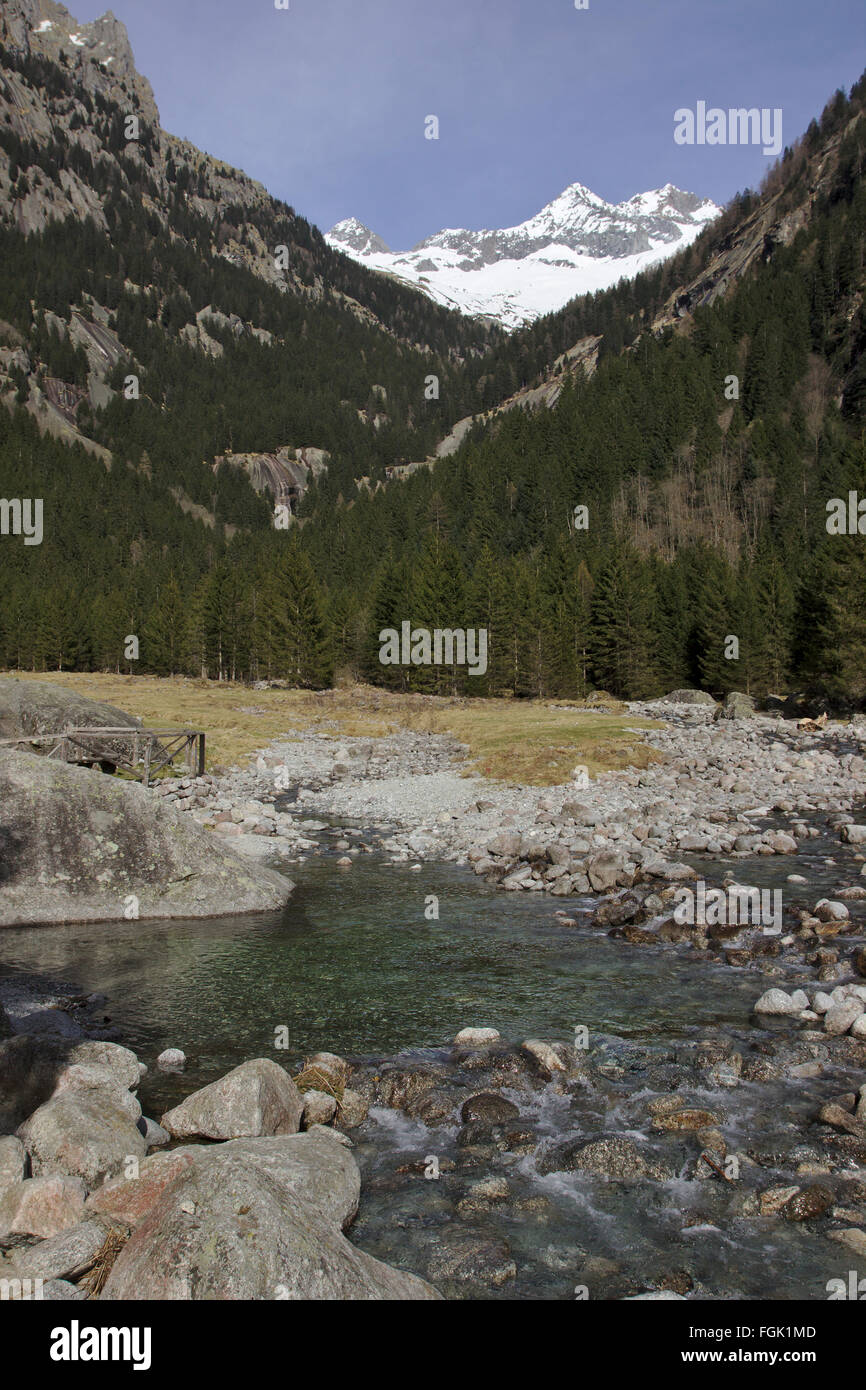 Val Masino with Monte Disgrazia in spring, Lombardy, Italien Stock