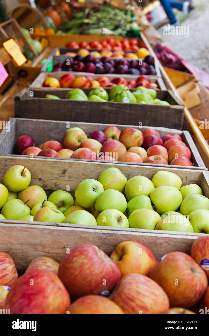 Crates of apples, plums and peaches are on display at a farmer's roadside stand market in northern Michigan. Crisp apples Stock Photo