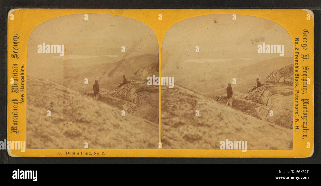 Dublin Pond, No. 2, by Scripture, G. H. H.), 18391929 Stock