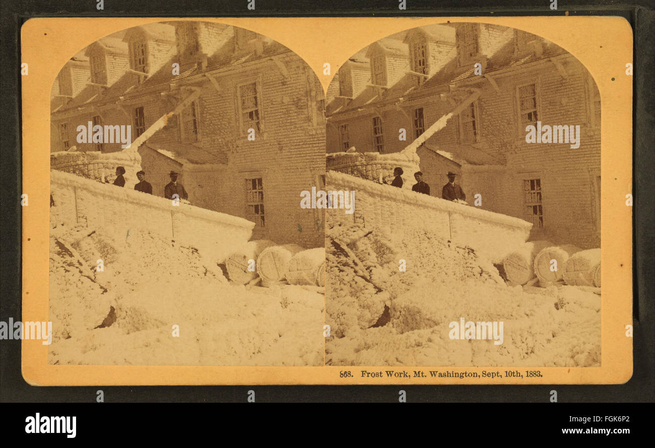 This photograph by Kilburn Brothers showcases frost work on Mount ...