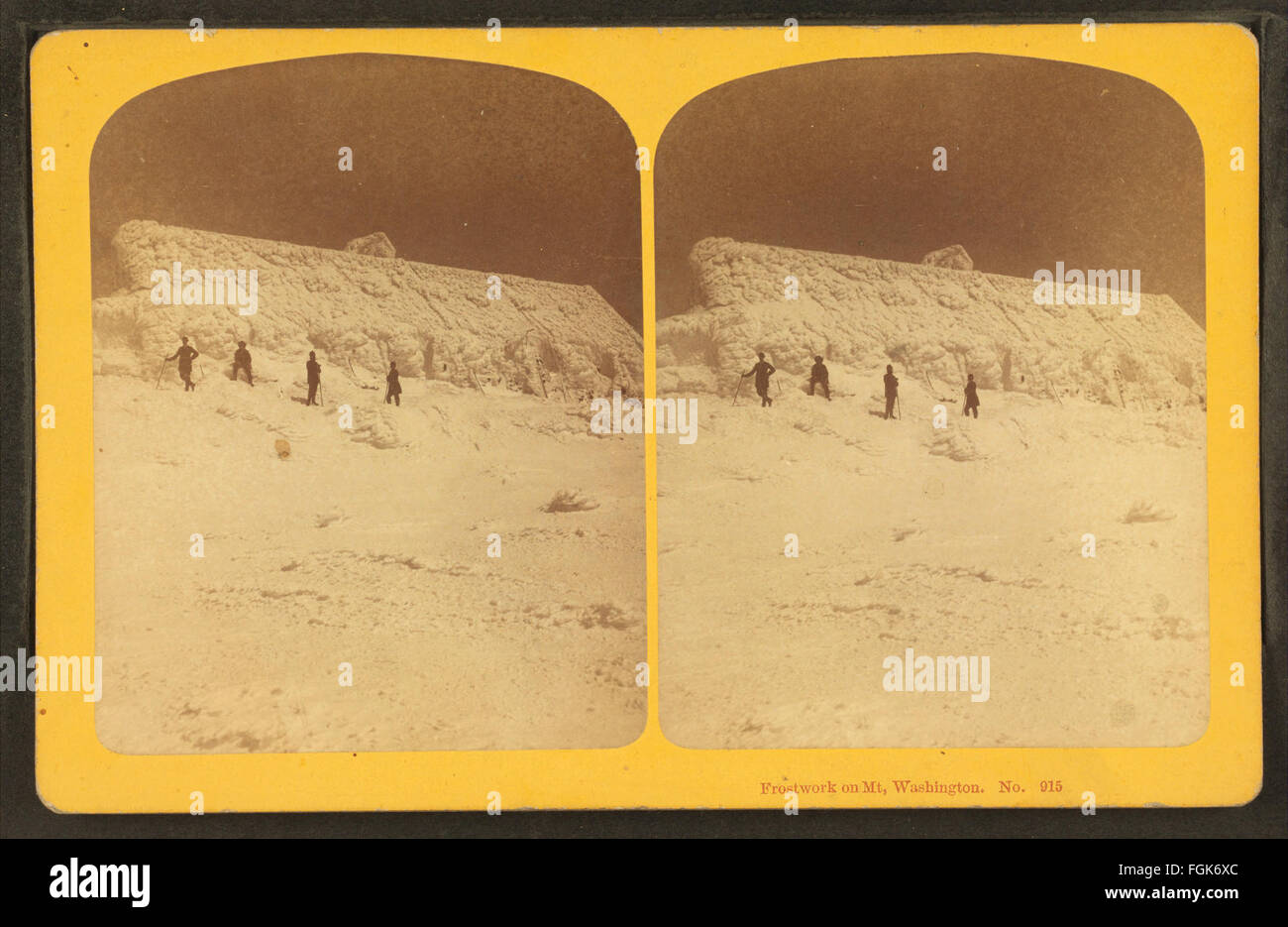 A photograph by G. H. Aldrich & Co. showing frost work on Mount ...